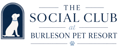 The Social Club at Burleson Pet Resort